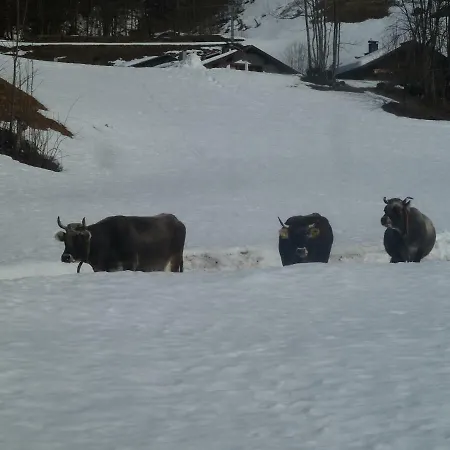 Bauernhof Mangeng Klösterle am Arlberg